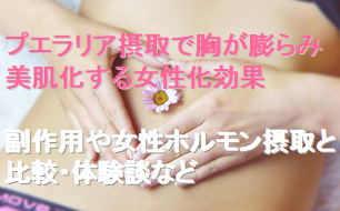 男性 女性化 プエラリア摂取で胸が膨らみ美肌化する女性化効果 副作用や女性ホルモン摂取と比較 体験談など 女装ワールドライフ